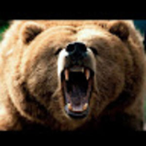 Meet your Posher, Leigh